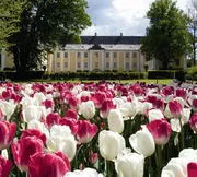Seminarer, møder, konferencer i Gavnø Slot og Park